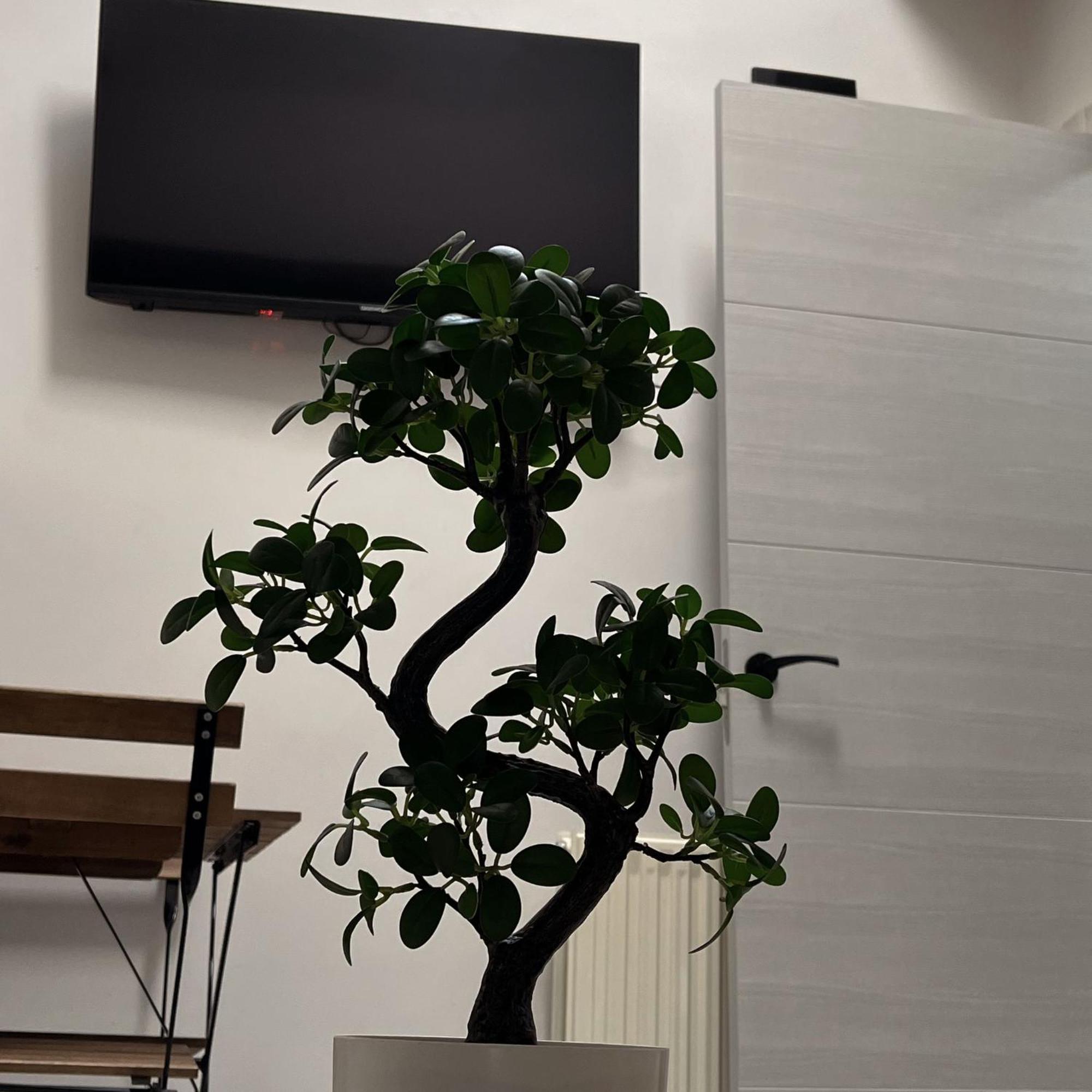 Apartamento Calera Burgo Dış mekan fotoğraf